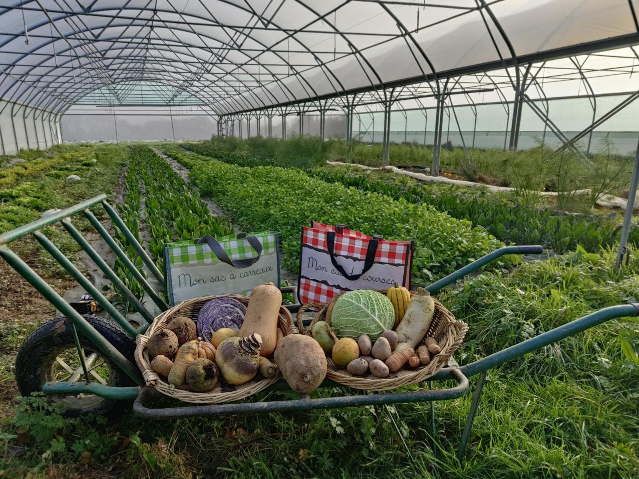 Panier de légumes de saison