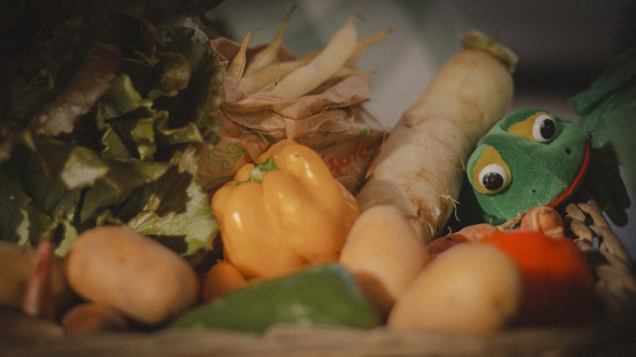 Panier de légumes bio